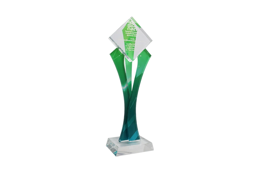 The Financial Changemaker Award from the Securities and Exchange Commission (SEC)