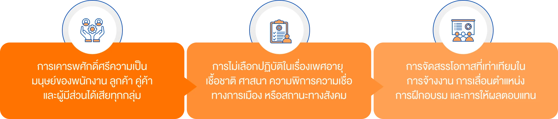 นโยบายสิทธิมนุษยชนและการไม่เลือกปฏิบัติ